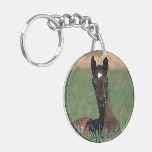 Arab Foal Laying Down Sleutelhanger (Voorkant Links)