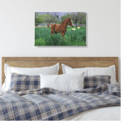 Arab Foal Standing Canvas Afdruk (Insitu (Slaapkamer))
