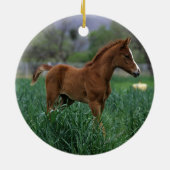 Arab Foal Standing Keramisch Ornament (Achterkant)