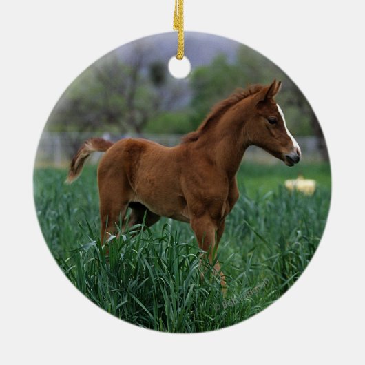 Arab Foal Standing Keramisch Ornament (Achterkant)