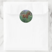 Arab Foal Standing Ronde Sticker (Tas)