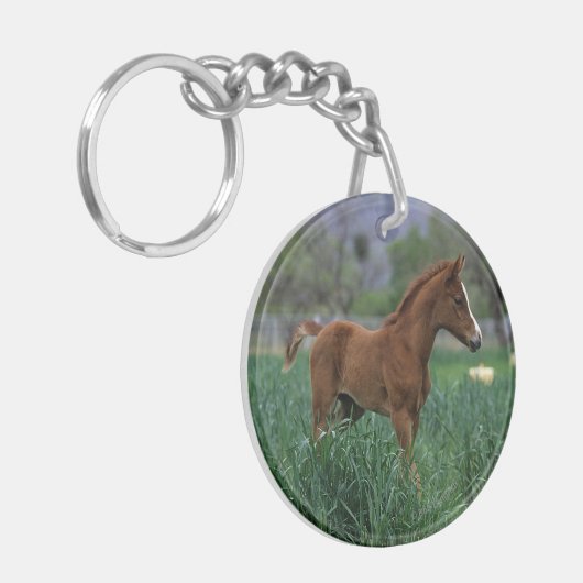 Arab Foal Standing Sleutelhanger (Voorkant Links)