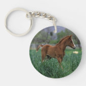Arab Foal Standing Sleutelhanger (Voorkant)