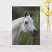 Arab Horse Headshot 1 Kaart (Gele Bloem)