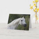 Arab Horse Headshot 1 Kaart (Gele Bloem)