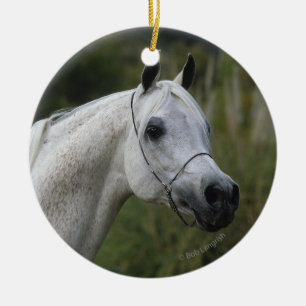 Arab Horse Headshot 1 Keramisch Ornament