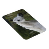 Arab Horse Headshot 1 Magneet (Rechterzijde)