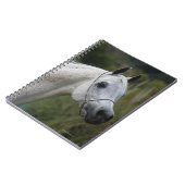 Arab Horse Headshot 1 Notitieboek (Linkerzijde)