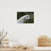 Arab Horse Headshot 1 Poster (Keuken)