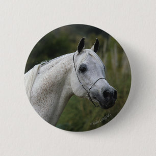 Arab Horse Headshot 1 Ronde Button 5,7 Cm