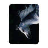 Arab Horse Headshot 2 Magneet (Verticaal)