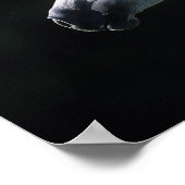 Arab Horse Headshot 2 Poster (Hoek)