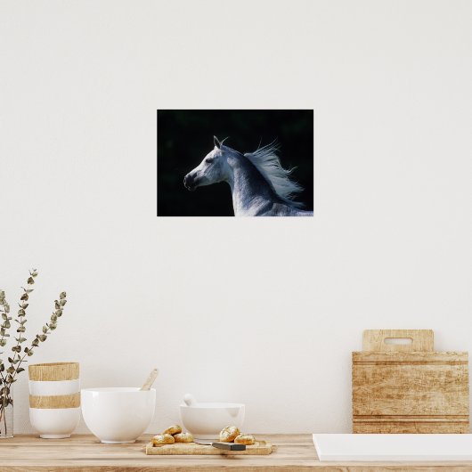 Arab Horse Headshot 2 Poster (Keuken)