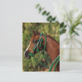 Arab Horse Headshot met bridle Briefkaart (Staand voorkant)