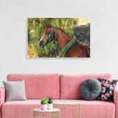 Arab Horse Headshot met bridle Canvas Afdruk (Insitu (Woonkamer))