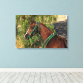 Arab Horse Headshot met bridle Canvas Afdruk (Insitu (Houten vloer))
