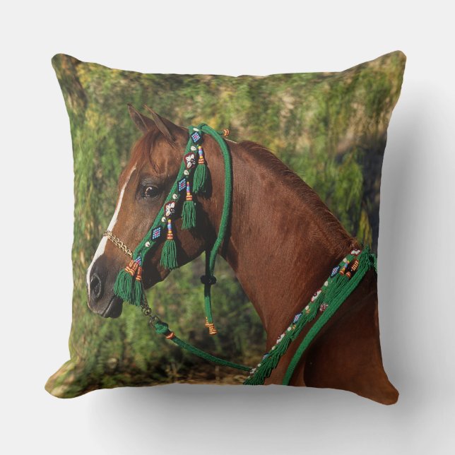 Arab Horse Headshot met bridle Kussen (Voorkant)