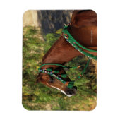 Arab Horse Headshot met bridle Magneet (Verticaal)