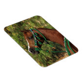 Arab Horse Headshot met bridle Magneet (Rechterzijde)