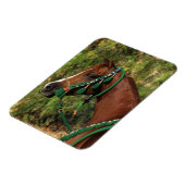 Arab Horse Headshot met bridle Magneet (Linkerzijde)