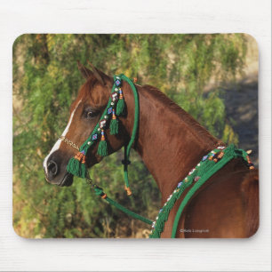 Arab Horse Headshot met bridle Muismat