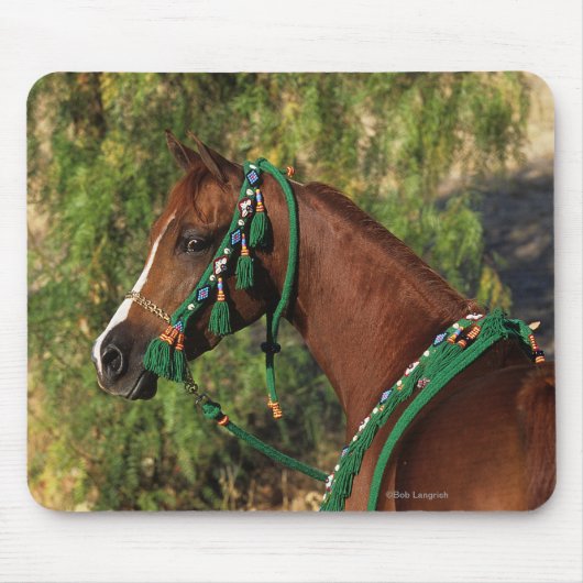 Arab Horse Headshot met bridle Muismat (Voorkant)
