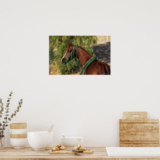 Arab Horse Headshot met bridle Poster (Keuken)