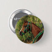 Arab Horse Headshot met bridle Ronde Button 5,7 Cm (Voorkant /achterkant)