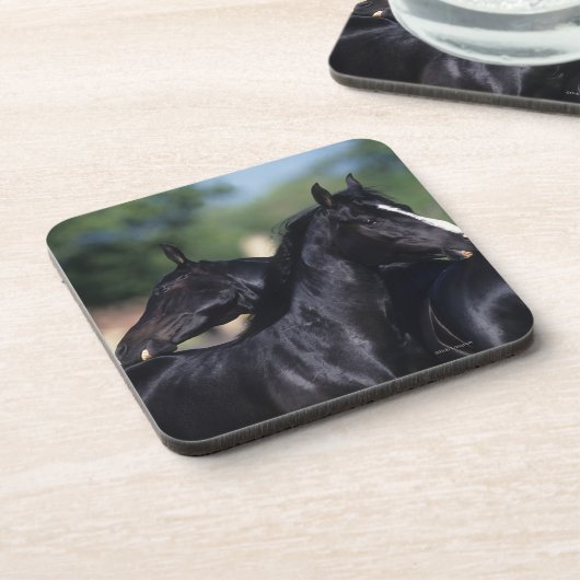 Arab Horse Scratching Bier Onderzetter (Linkerzijde)