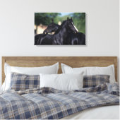 Arab Horse Scratching Canvas Afdruk (Insitu (Slaapkamer))