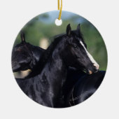 Arab Horse Scratching Keramisch Ornament (Voorkant)