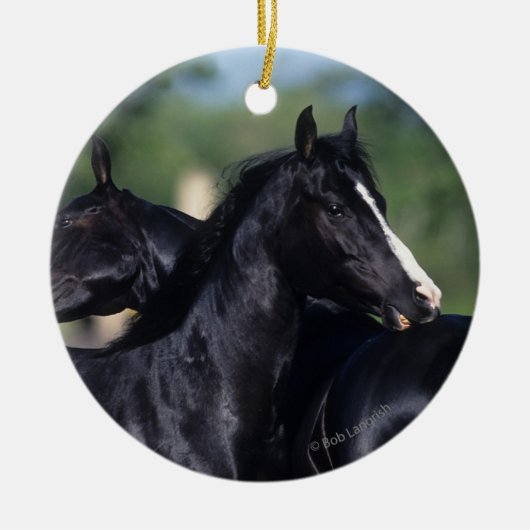 Arab Horse Scratching Keramisch Ornament (Voorkant)