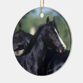 Arab Horse Scratching Keramisch Ornament (Links)