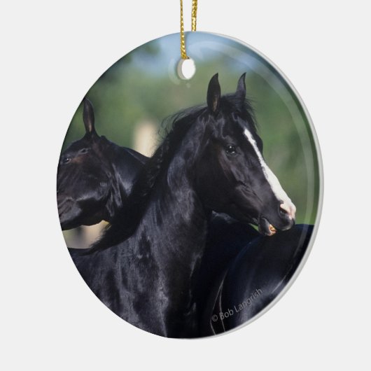 Arab Horse Scratching Keramisch Ornament (Links)