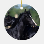 Arab Horse Scratching Keramisch Ornament (Achterkant)