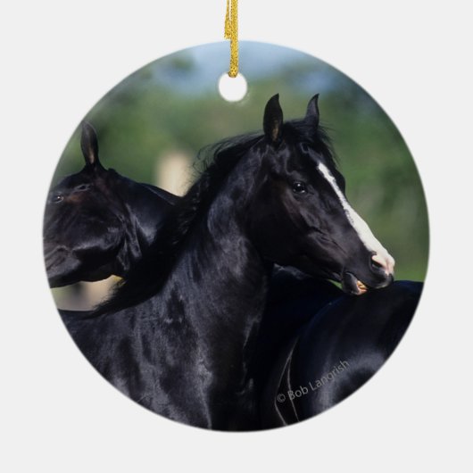 Arab Horse Scratching Keramisch Ornament (Achterkant)