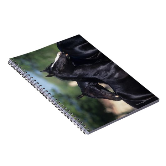 Arab Horse Scratching Notitieboek (Rechterzijde)