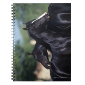 Arab Horse Scratching Notitieboek (Voorkant)