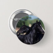 Arab Horse Scratching Ronde Button 5,7 Cm (Voorkant /achterkant)