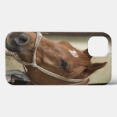 Arab Horses Case-Mate iPhone Case (Achterkant (horizontaal))