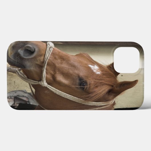 Arab Horses Case-Mate iPhone Case (Achterkant (horizontaal))