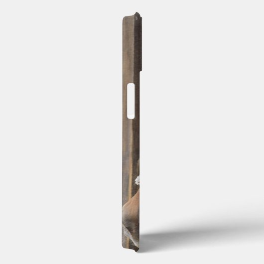 Arab Horses Case-Mate iPhone Case (Achterkant / Rechts)