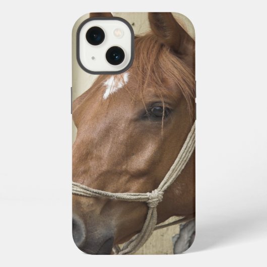 Arab Horses iPhone Hoesje (Achterkant)