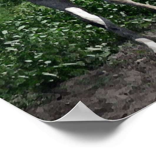 Arab Mare Poster (Hoek)