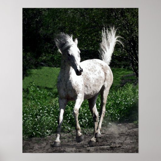 Arab Mare Poster (Voorkant)
