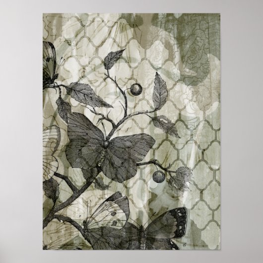 Arabesque Butterflies I Poster (Voorkant)