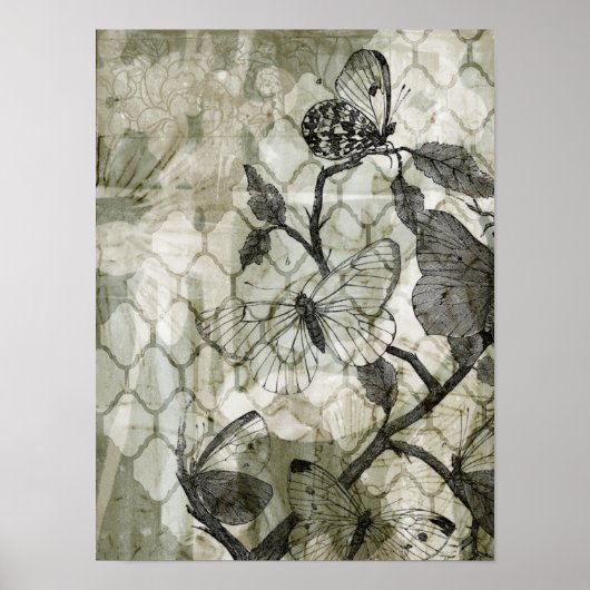 Arabesque Butterflies II Poster (Voorkant)