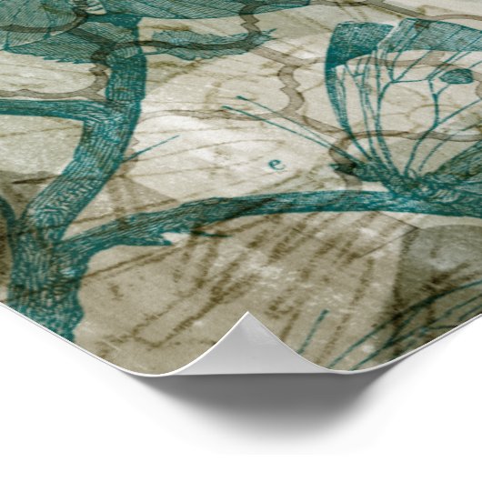 Arabesque Butterflies V Poster (Hoek)