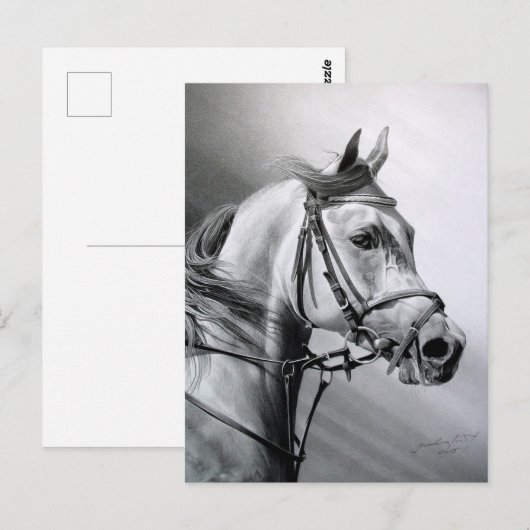 ARABIAN BEAUTY BRIEFKAART (Voorkant / Achterkant)