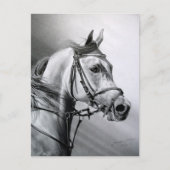 ARABIAN BEAUTY BRIEFKAART (Voorkant)